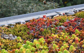the cost of Upware green roof installation