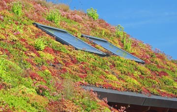 Upware living roof systems