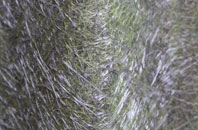 Upware fibreglass roof work